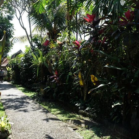 Suastika Guest House Ubud Eksteriør bilde