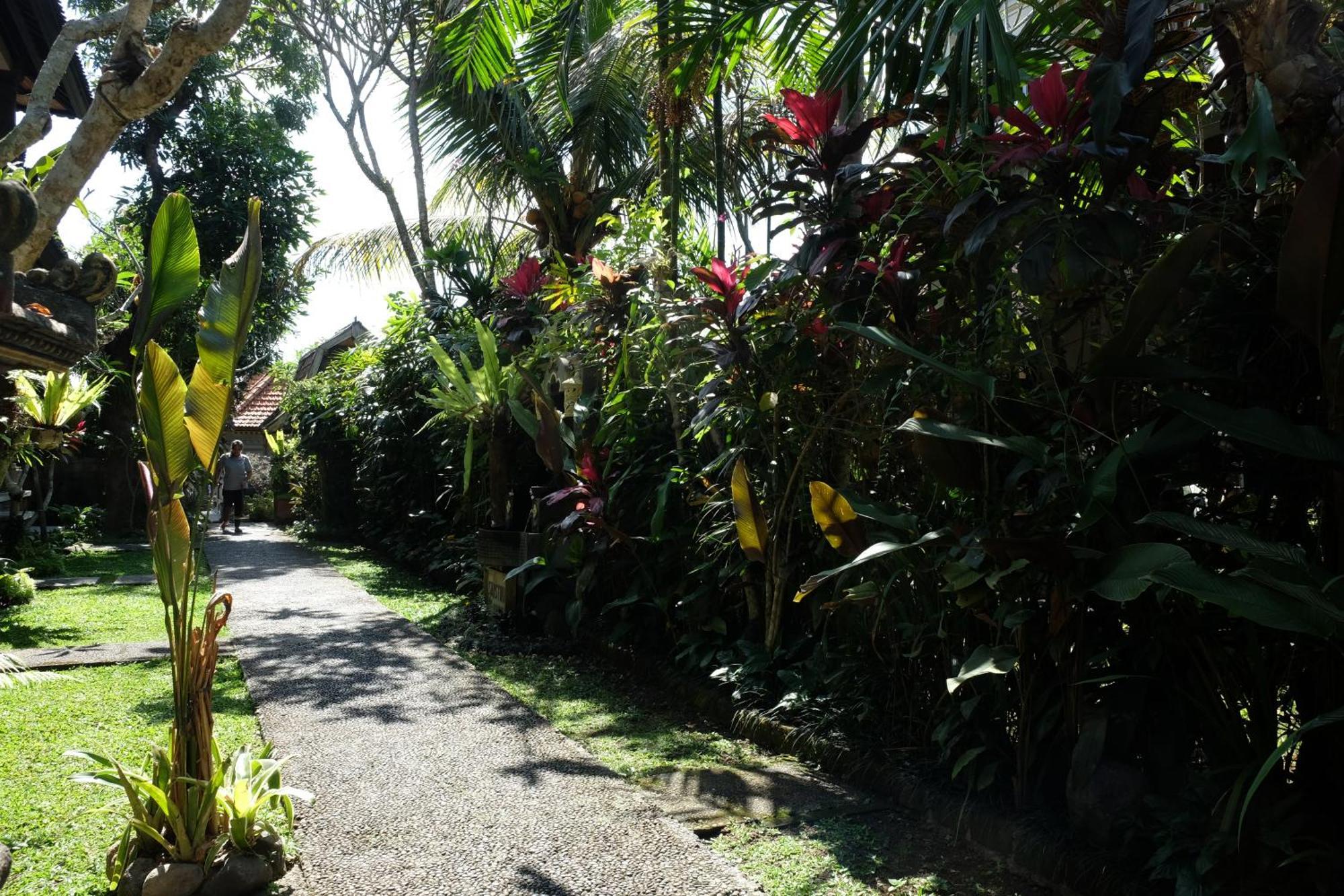 Suastika Guest House Ubud Eksteriør bilde