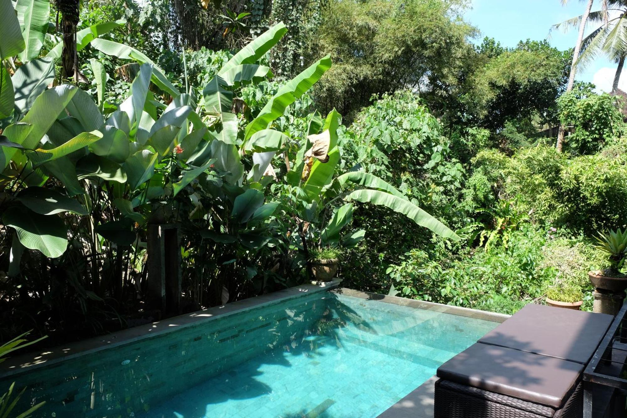 Suastika Guest House Ubud Eksteriør bilde