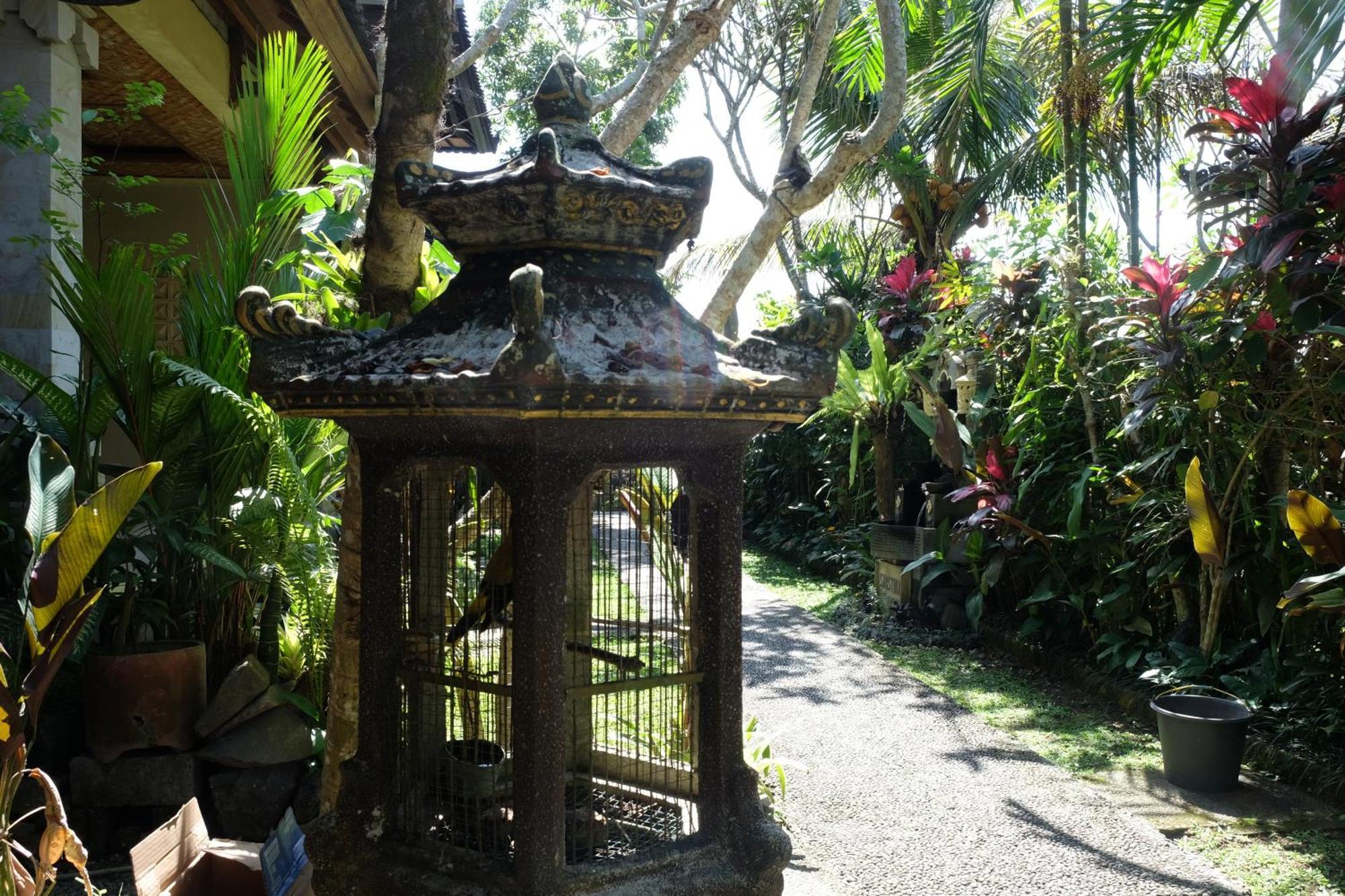 Suastika Guest House Ubud Eksteriør bilde